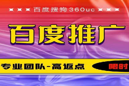 百度竞价与搜索引擎优化（SEO）结合的经典案例